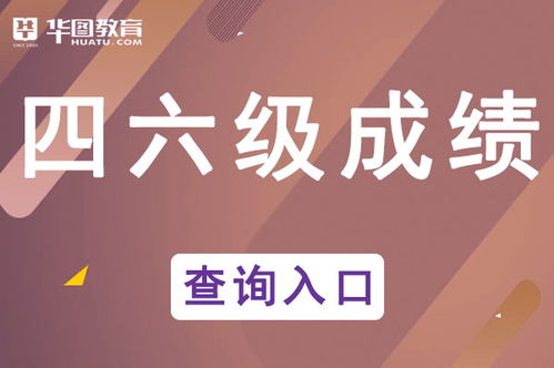 四六級成績查詢顯示“未查詢到相關(guān)信息”的常見原因與解決方案